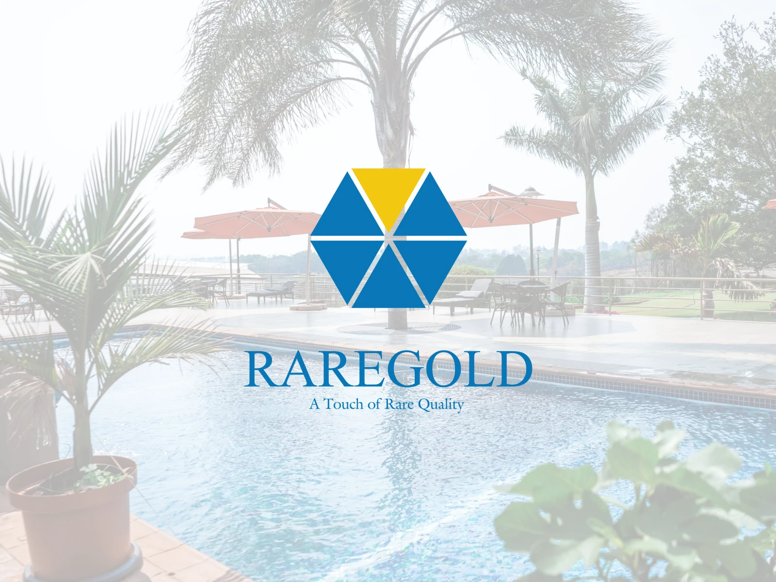 RAREGOLD WEBSITE